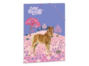 A /4 dosszié Cute Animals-Horse