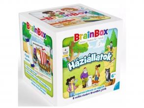 Brainbox: Háziállatok