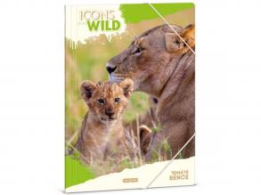 Ars Una: Máté Bence Icons of the Wild-Lions A/4 gumis dosszié