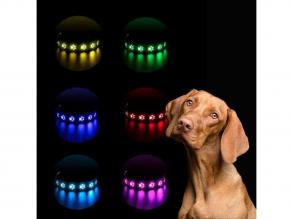 LED-es kutyanyakörv , állítható , USB , tölthető , vízálló , 50cm , M-es , tappancsos, fekete