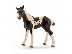 Pinto csikó - Schleich